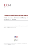 The future of the Mediterranean: from impacts of climate change to adaptation issues