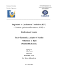 Socio-Economic Analysis of Marine Fishermen in Tyre (South of Lebanon)