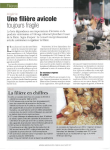 Algérie : une filière avicole toujours fragile