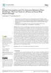 Energy consumption and CO2 emissions related to wine production: the case study of a winery in Douro wine region - Portugal