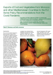Exports of fruit and vegetables from Morocco and other Mediterranean countries to the EU: some policy recommendations from the Covid pandemic