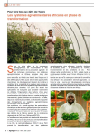 Les systèmes agroalimentaires africains en phase de transformation