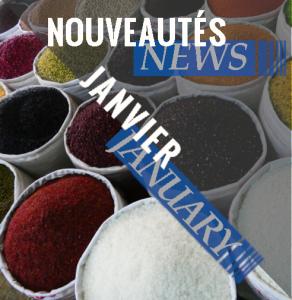 Bulletin des Nouveaut&eacute;s Janvier