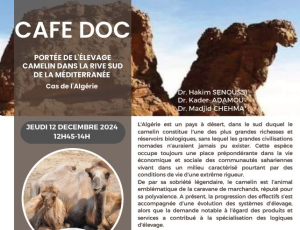 Portée de l'élevage camelin dans la rive sud de la méditerranée : cas de l'Algérie