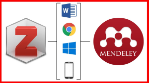 MIDAS Master 2 - Entretiens individuels : Bibliographie scientifique