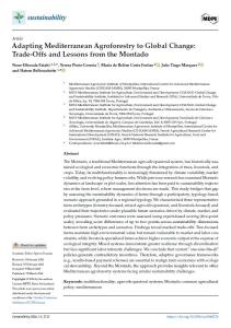 Adapting mediterranean agroforestry to global change: trade-offs and lessons from the Montado