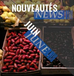 Bulletin des Nouveautés de Juin