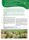 2030 : Pour que la Grande Muraille Verte au Sahel soit une pleine réussite
