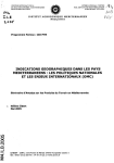 Indications géographiques dans les pays méditerranéens : les politiques nationales et les enjeux internationaux (OMC)