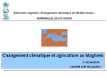 Changement climatique et agriculture au Maghreb