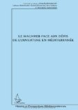 Le Maghreb face aux défis de l'ouverture en Méditerranée