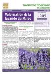 Transfert de technologie en agriculture : bulletin mensuel de liaison et d'information du PNTTA