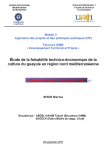 Etude de la faisabilité technico-économique du guayule en région nord méditerranéenne