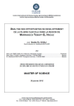 Analyse des opportunités de développement de la filière oléicole dans la région de Marrakech Tensift el Haouz