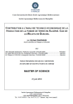 Contribution à l'analyse technico-économique de la production de la pomme de terre en Algérie