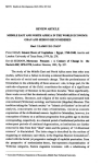 Middle East and North Africa in the world economy: Gran and Seddon reconsidered