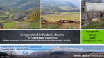 Geographical Indications devices in candidate countries: market instrument, rural development tool, environmental incentives? Insights