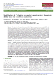 Modélisation de l'irrigation en goutte à goutte enterré du palmier dattier sous les conditions oasiennes