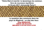 La question des communs dans les pays du Maghreb : un état des lieux