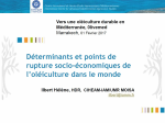 Déterminants et points de rupture socio-économiques de l’oléiculture dans le monde