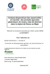 Analyse-diagnostic des opportunités et marchés des produits agricoles générateurs de revenu chez les femmes dans la région de Dosso au Niger