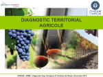 Diagnostic territorial agricole Pays Garrigues & Costières de Nîmes