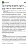 Evaluating irrigation efficiency with performance indicators: a case study of citrus in the East of Spain