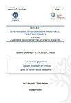 Les savanes guyanaises : quelles stratégies de gestion pour la préservation du milieu ?