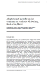 Adaptation et hybridation des communs en territoire Aït Oucheg, Haut Atlas, Maroc