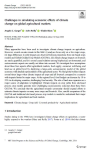 Challenges in simulating economic effects of climate change on global agricultural markets