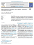 Does circular economy performance lead to sustainable development? A systematic literature review