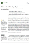 Impact of genetic improvements of rice on its water use and effects of climate variability in Egypt