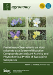 Agronomy, vol. 11, n. 11 - November 2021 - Preliminary observations on viola calcarata as a source of bioactive compounds: antioxidant activity and phytochemical profile of two Alpine subspecies 