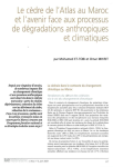 Le cèdre de l'Atlas au Maroc et l'avenir face aux processus de dégradations anthropiques et climatiques