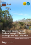 Land, vol. 10, n. 12 - December 2021 - Millennial coastal forests carbon storage: effects of drainage and sea level rise 