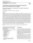 Unravelling the interplay between water and food systems in arid and semi-arid environments: the case of Egypt