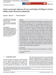 Socio-economic impacts of zero and reduced tillage in wheat fields of the moroccan drylands