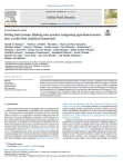 Putting food systems thinking into practice: integrating agricultural sectors into a multi-level analytical framework