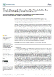 Climate change and silvopasture: the potential of the tree and weather to modify soil carbon balance