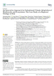 An innovative approach for subnational climate adaptation of biodiversity and ecosystems: the case study of a regional strategy in Italy