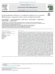 Evapotranspiration estimates in a traditional irrigated area in semi-arid Mediterranean. Comparison of four remote sensing-based models