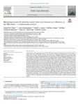 Minimizing trade-offs between wheat yield and resource-use efficiency in the Nile Delta ? A multi-model analysis