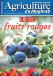 Agriculture du Maghreb, n. 147 - Novembre 2022