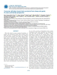 Consumer attitudes toward dairy products from sheep and goats: a cross-continental perspective