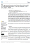 Does agricultural intensification enhance rural wellbeing? A structural model assessment at the sub-communal level: a case study in Tunisia