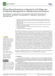 Durum wheat production as affected by soil tillage and fertilization management in a Mediterranean environment