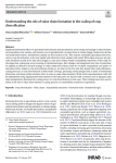 Understanding the role of value chain formation in the scaling of crop diversification