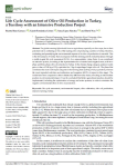 Life cycle assessment of olive oil production in Turkey, a territory with an intensive production project