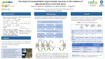 The impact of overexploitation of groundwater resources on the resilience of agricultural farms in a semi-arid zone