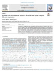 Economic and environmental efficiency, subsidies and spatio-temporal effects in agriculture